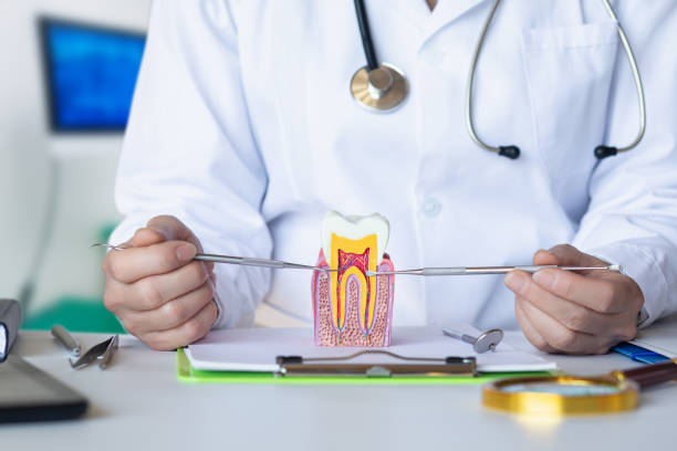 Best Emergency Tooth Extraction in Denton, MD